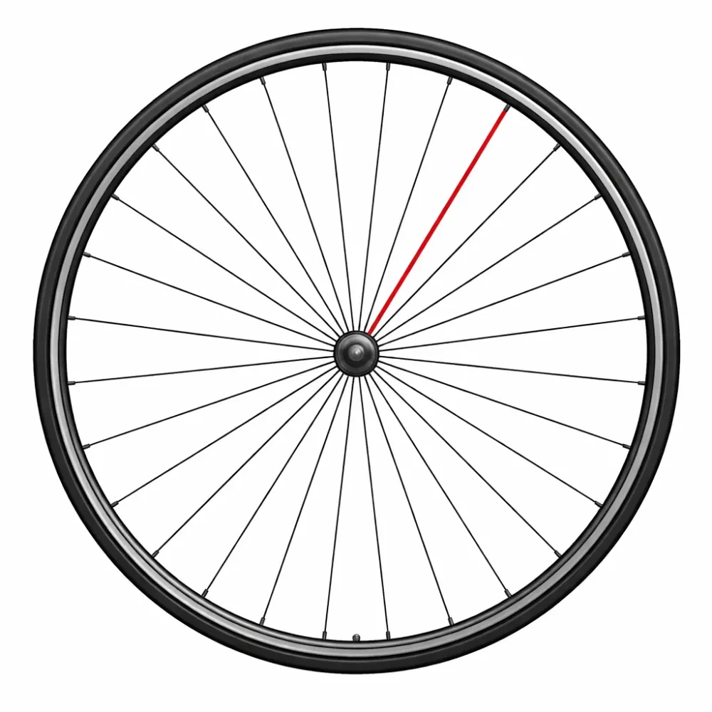 CAMPAGNOLO Spoke + SHAMAL ULTRA DISC Nippeli Oikea Takana (x1)